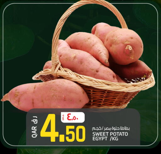 Sweet Potato from Egypt available at السعودية in قطر - أم صلال