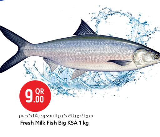 available at سفاري هايبر ماركت in قطر - الوكرة