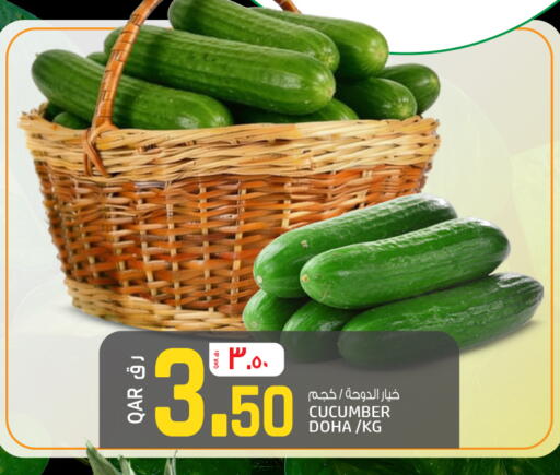 Cucumber from Qatar available at السعودية in قطر - أم صلال