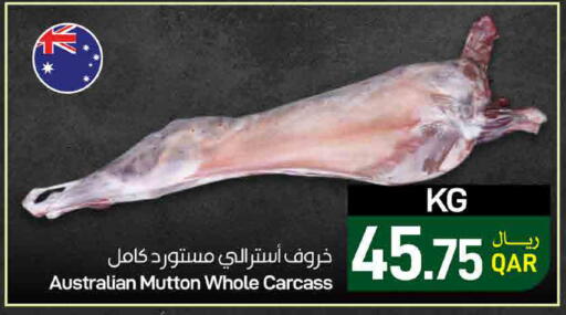 available at ســبــار in قطر - الريان