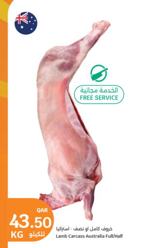 available at City Hypermarket in Qatar - Al-Shahaniya
