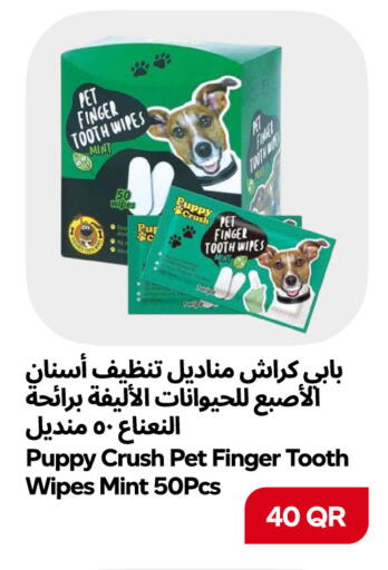 Mint available at Snoomart in Qatar - Al Rayyan