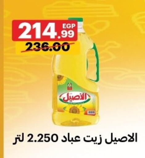 available at Al Habib Market in Egypt - Cairo