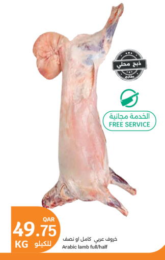 available at City Hypermarket in Qatar - Al-Shahaniya