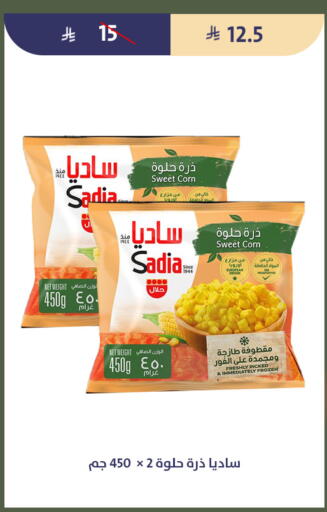 available at Qout Market in KSA, Saudi Arabia, Saudi - Ta'if