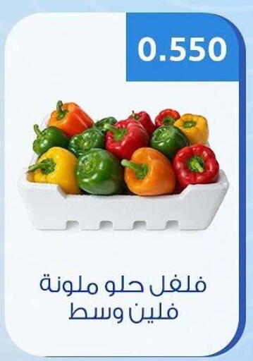 available at Hateen Co-Op Society in Kuwait - Kuwait City