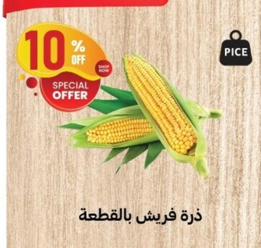 available at Al Habib Market in Egypt - Cairo