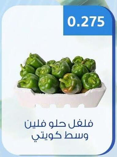 available at Hateen Co-Op Society in Kuwait - Kuwait City