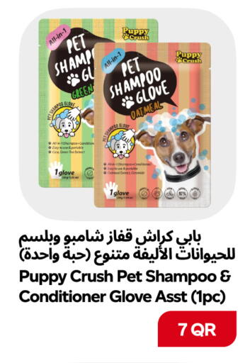 available at Snoomart in Qatar - Al Rayyan