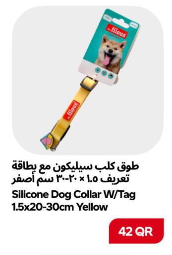 available at Snoomart in Qatar - Al Rayyan