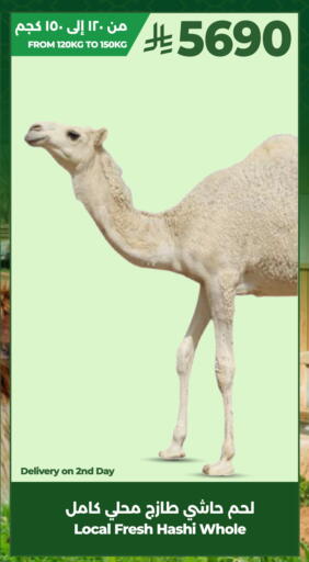 available at لولو هايبرماركت in مملكة العربية السعودية, السعودية, سعودية - الخبر‎
