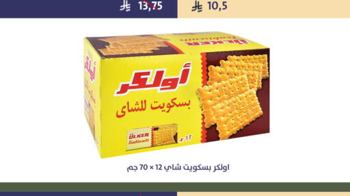 available at Qout Market in KSA, Saudi Arabia, Saudi - Ta'if