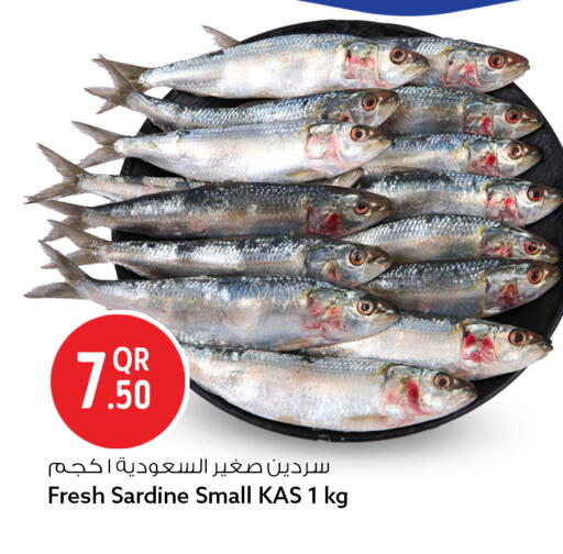 available at سفاري هايبر ماركت in قطر - الوكرة