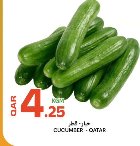 Cucumber from Qatar available at البلدي اليوم in قطر - الوكرة