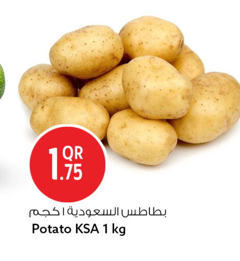 Potato available at سفاري هايبر ماركت in قطر - الشحانية