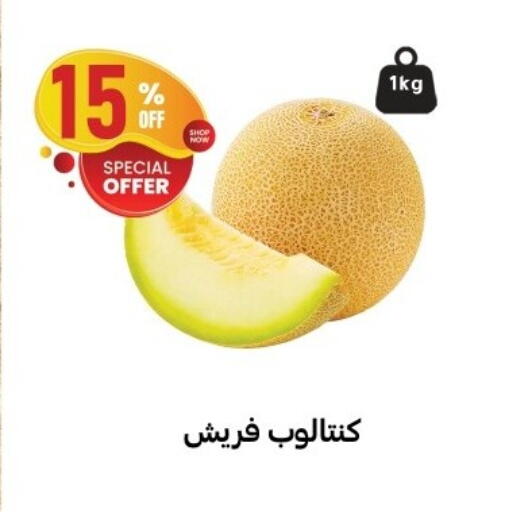 available at Al Habib Market in Egypt - Cairo