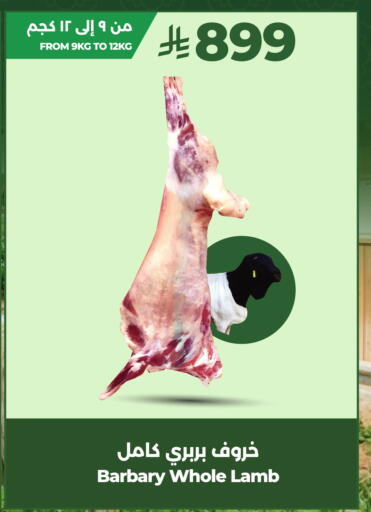 available at لولو هايبرماركت in مملكة العربية السعودية, السعودية, سعودية - تبوك