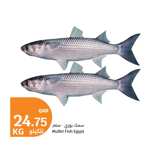 available at سيتي هايبرماركت in قطر - الوكرة