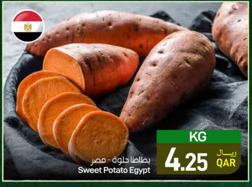 Sweet Potato from Egypt available at ســبــار in قطر - الوكرة