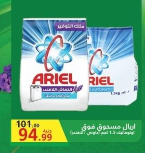 available at Al Habib Market in Egypt - Cairo
