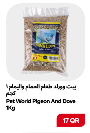 available at Snoomart in Qatar - Al Rayyan