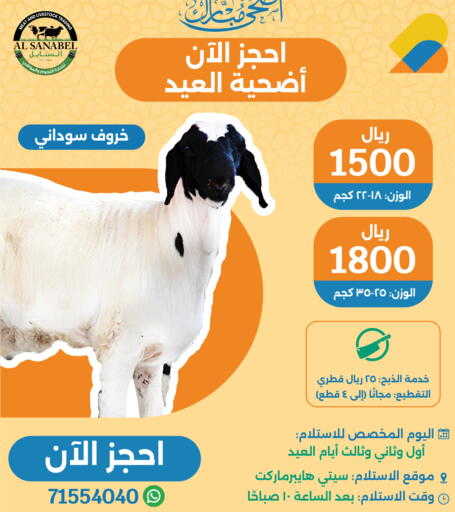 available at سيتي هايبرماركت in قطر - الشحانية