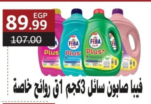 available at Al Habib Market in Egypt - Cairo
