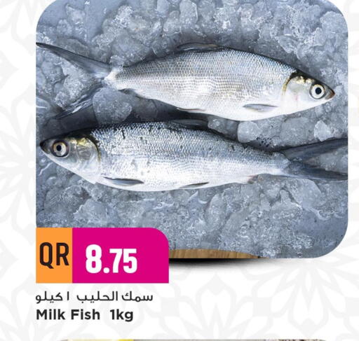 available at مرزا هايبرماركت in قطر - الوكرة