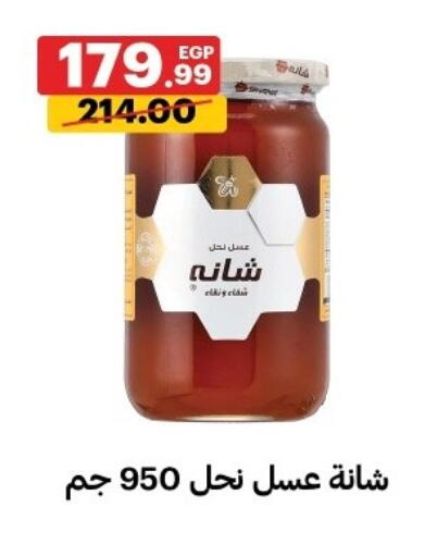 available at الحبيب ماركت in Egypt - القاهرة