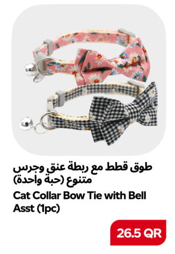 available at Snoomart in Qatar - Al Rayyan