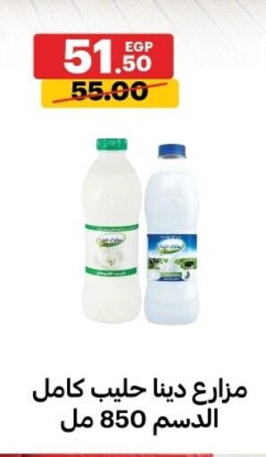 available at Al Habib Market in Egypt - Cairo