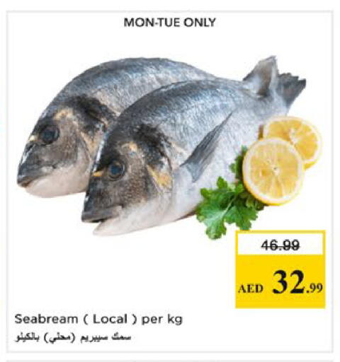 available at نستو هايبرماركت in الإمارات العربية المتحدة , الامارات - رَأْس ٱلْخَيْمَة