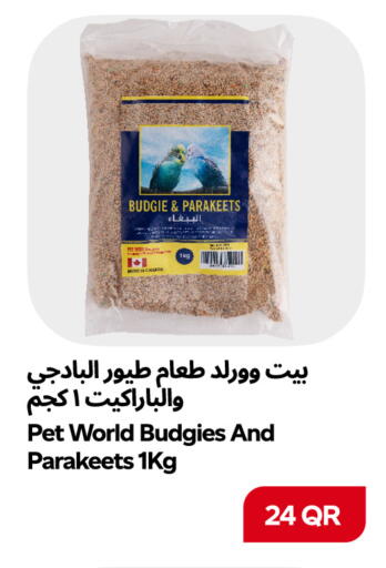 available at Snoomart in Qatar - Al Rayyan