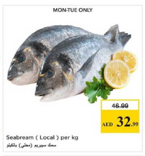 available at نستو هايبرماركت in الإمارات العربية المتحدة , الامارات - رَأْس ٱلْخَيْمَة
