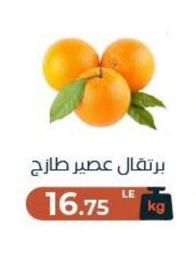 available at Arafa Market in Egypt - Cairo
