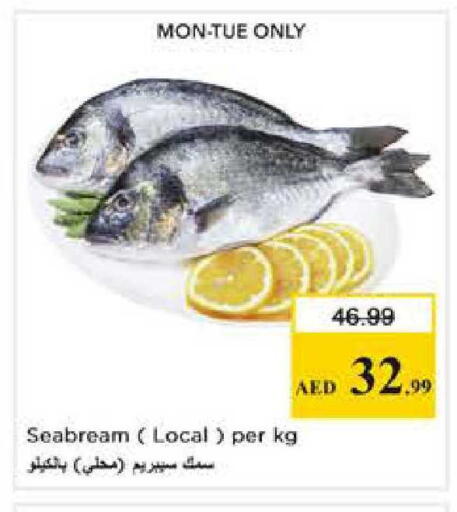 available at Nesto Hypermarket in UAE - Abu Dhabi