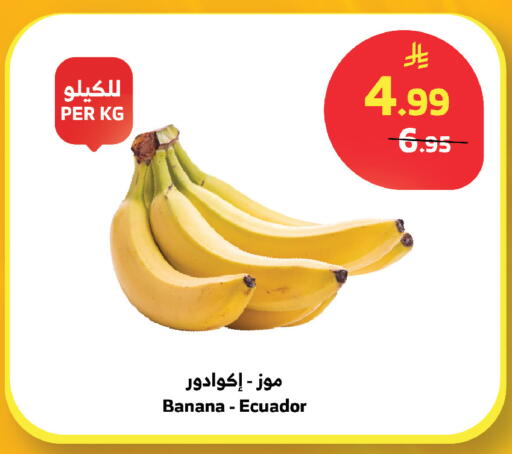 Banana from Ecuador available at Al Raya in KSA, Saudi Arabia, Saudi - Jazan