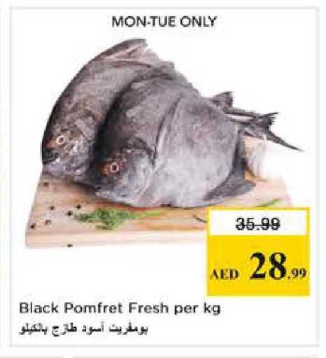 available at Nesto Hypermarket in UAE - Abu Dhabi