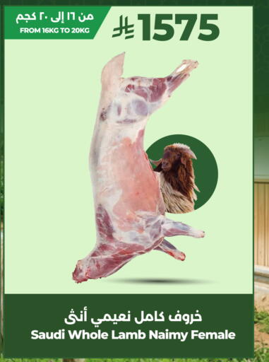 available at LULU Hypermarket in KSA, Saudi Arabia, Saudi - Al-Kharj