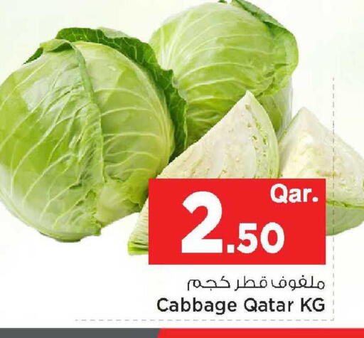 Cabbage from Qatar available at مارك & سيف in قطر - الدوحة