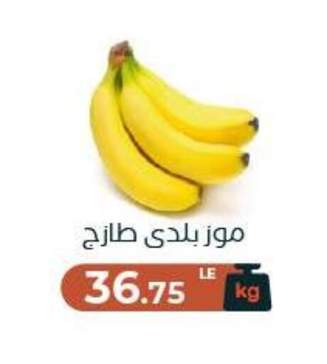 available at Arafa Market in Egypt - Cairo