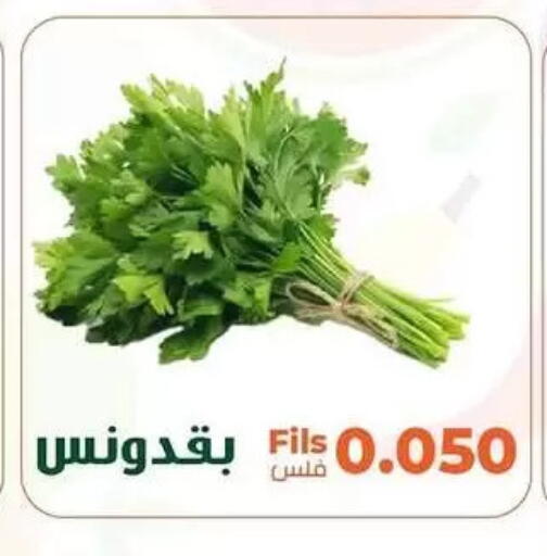 available at جمعية خيطان التعاونية in الكويت - مدينة الكويت