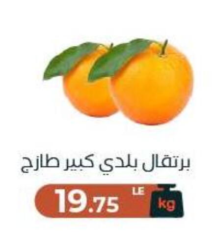 available at Arafa Market in Egypt - Cairo