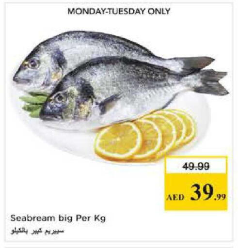 available at Nesto Hypermarket in UAE - Dubai