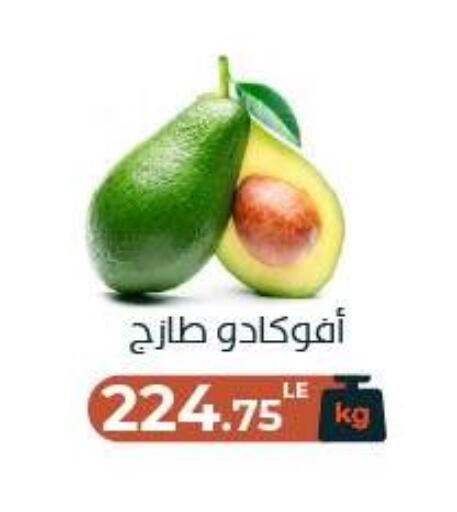 available at Arafa Market in Egypt - Cairo