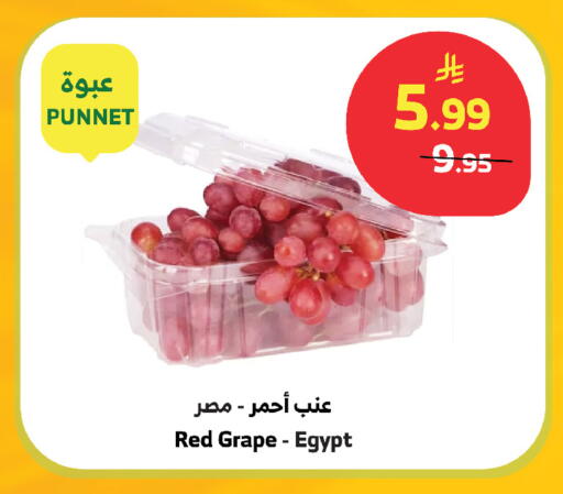 from Egypt available at الراية in مملكة العربية السعودية, السعودية, سعودية - مكة المكرمة