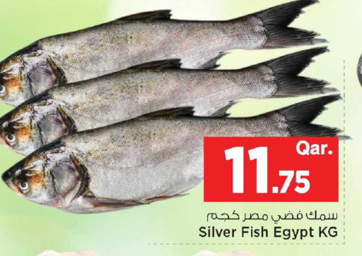 available at مارك & سيف in قطر - الشحانية