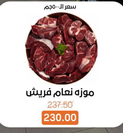 available at بيت الجملة in Egypt - القاهرة
