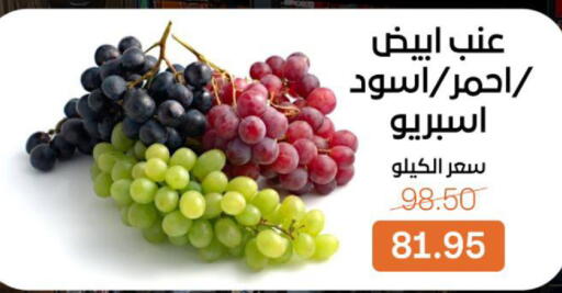 available at بيت الجملة in Egypt - القاهرة