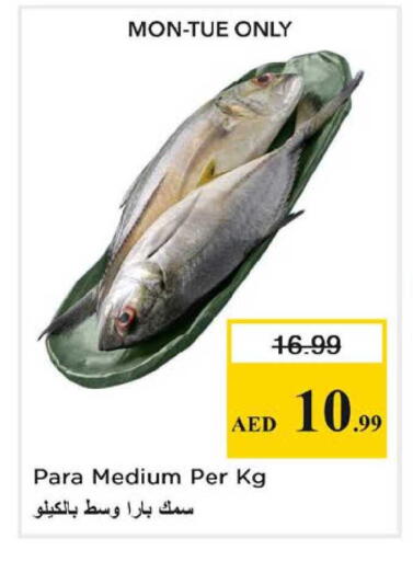 available at Nesto Hypermarket in UAE - Dubai